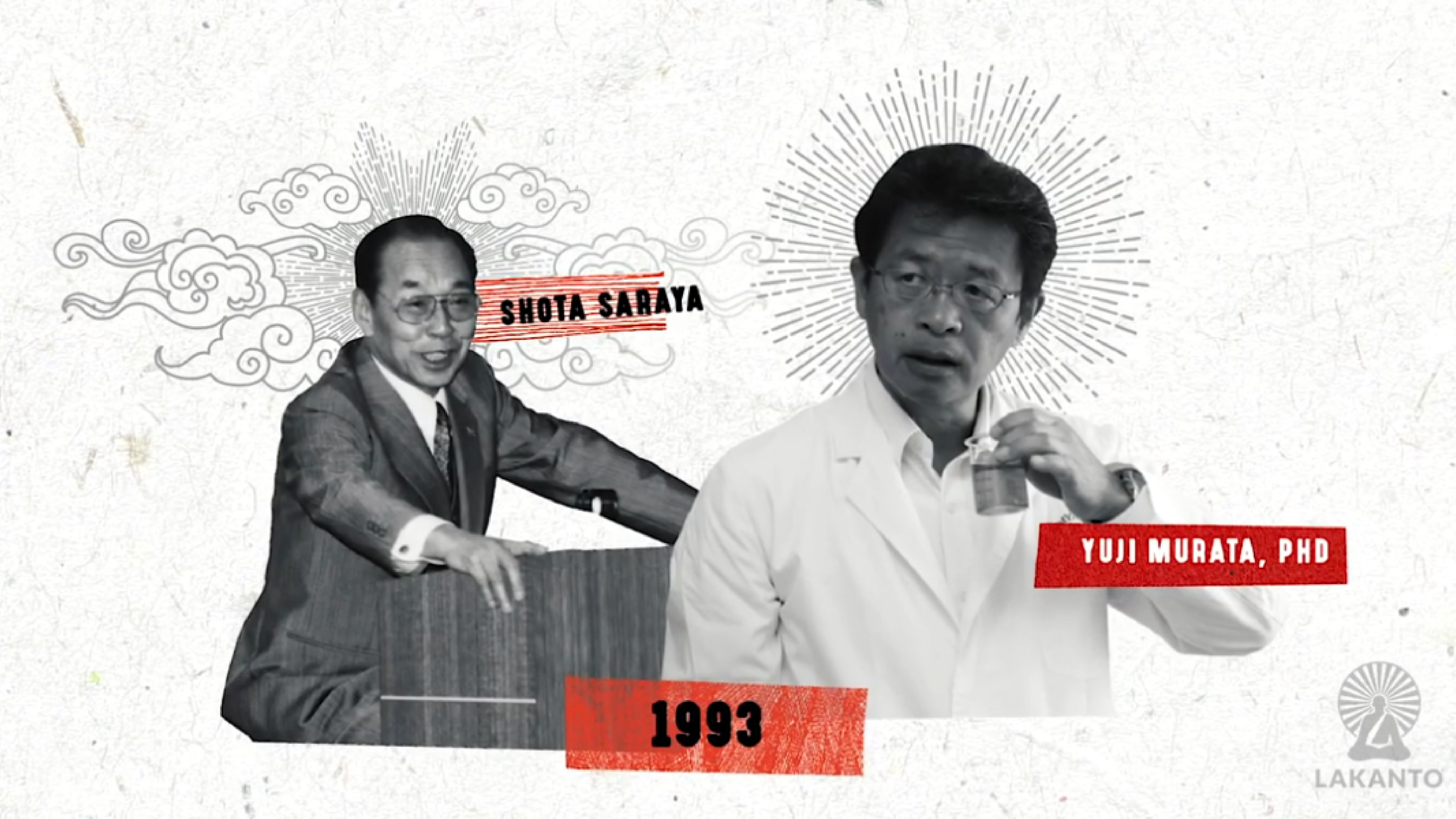 What led to Lakanto being founded in 1993?